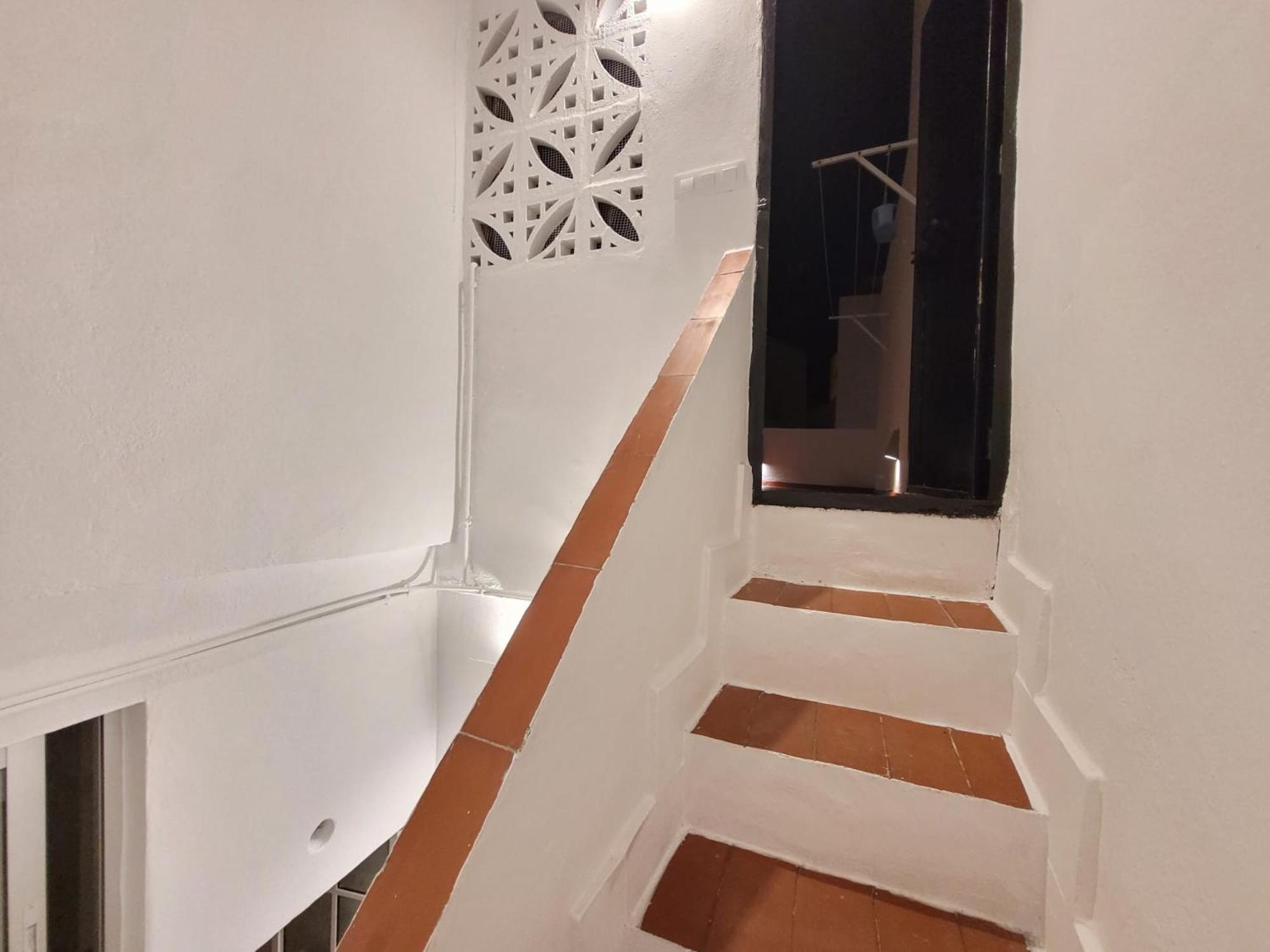 Casa La Aurora Daire Vejer de la Frontera Dış mekan fotoğraf